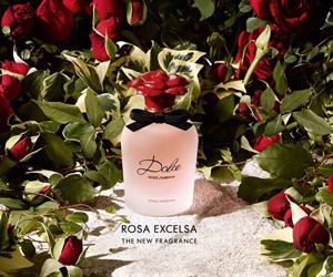 Новый аромат Dolce Rosa Excelsa